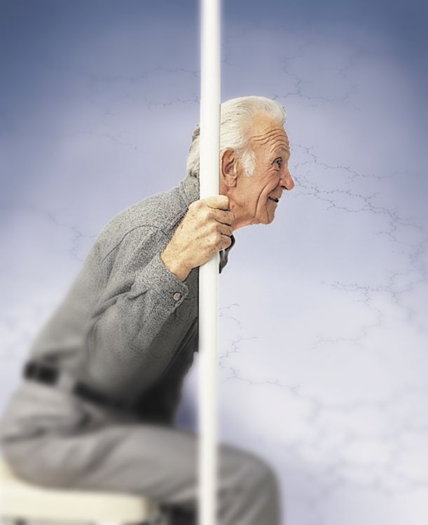 Safe-T Pole Guardian  Pole Only