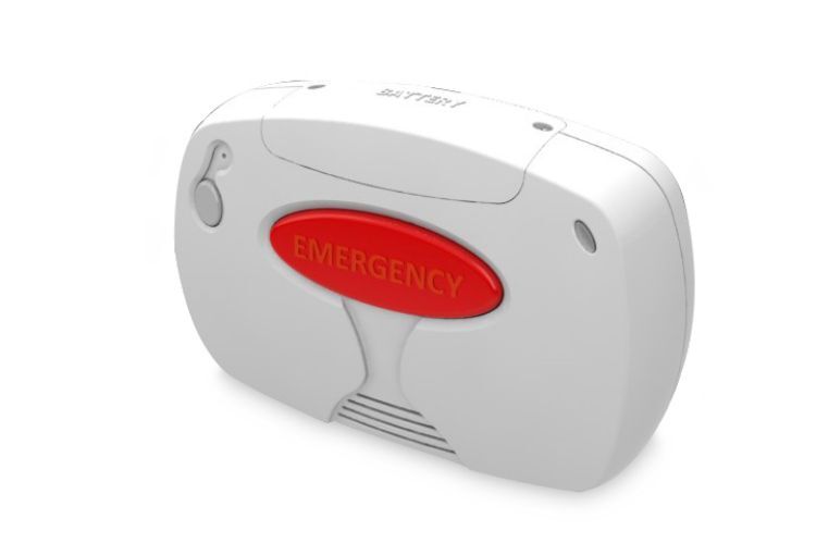 Freedom Alert With Wall Communicator