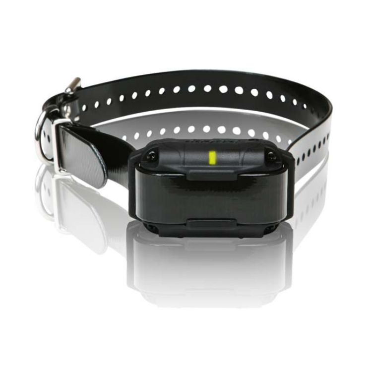 Dogtra SureStim H Plus 1/2 mile Extra Collar  Black 