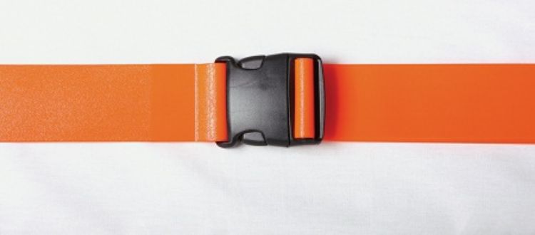 Wipeable Gate Belt 50"