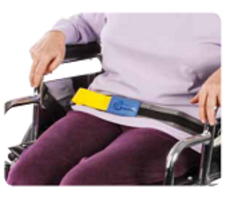 EZ Release Seatbelt with IQ Duo Alarm
