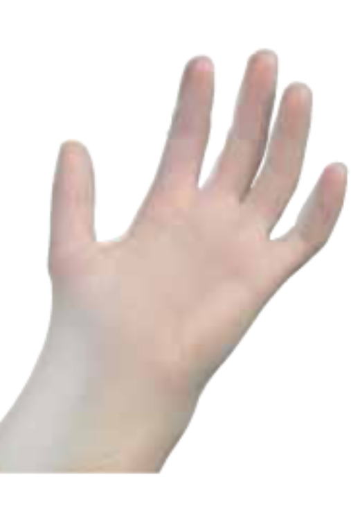 Examination Grade Vinyl Gloves Powder Free -X Small