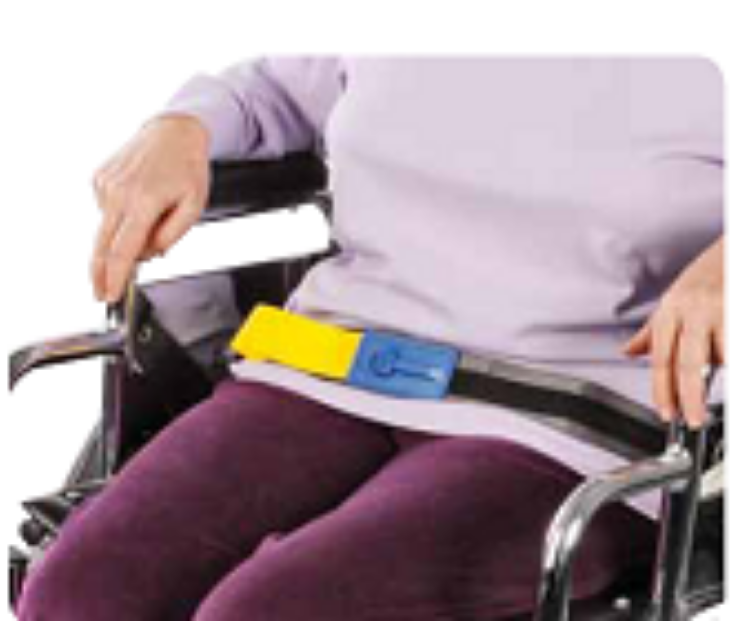Early Warning EZ Release Seatbelt with IQ Duo Alarm