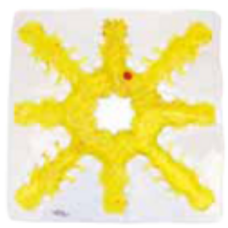 Light Box Gel-Maze Series: 8 Spoke Snow Flake - Clear 