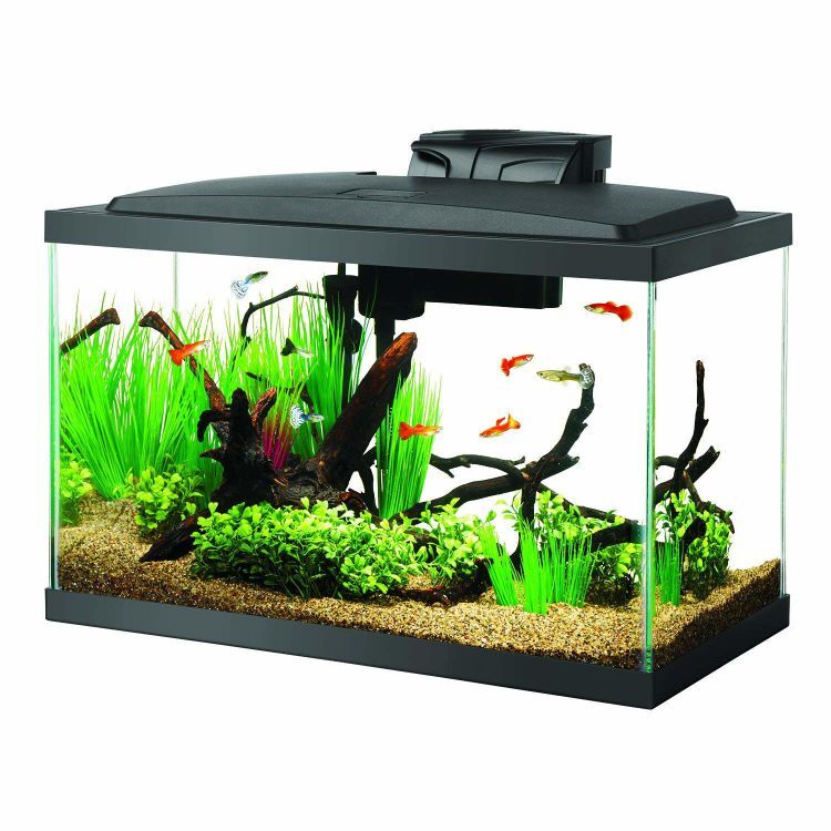 Aqueon 10 Gallon LED Aquarium Kit Black 20.2" x 10.5" x 13.3"